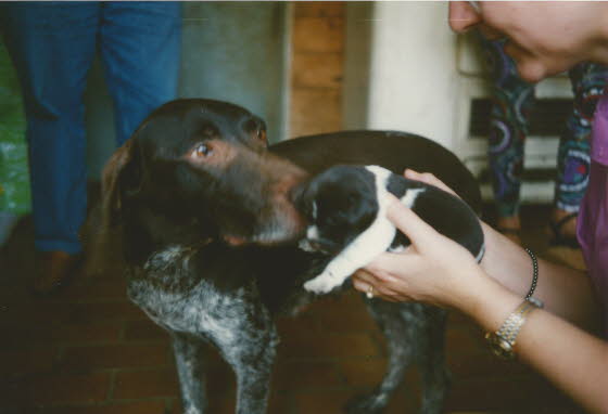 1992-05Falko+Mutter Denah