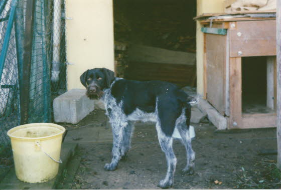 1993-03Falko vor H�tte